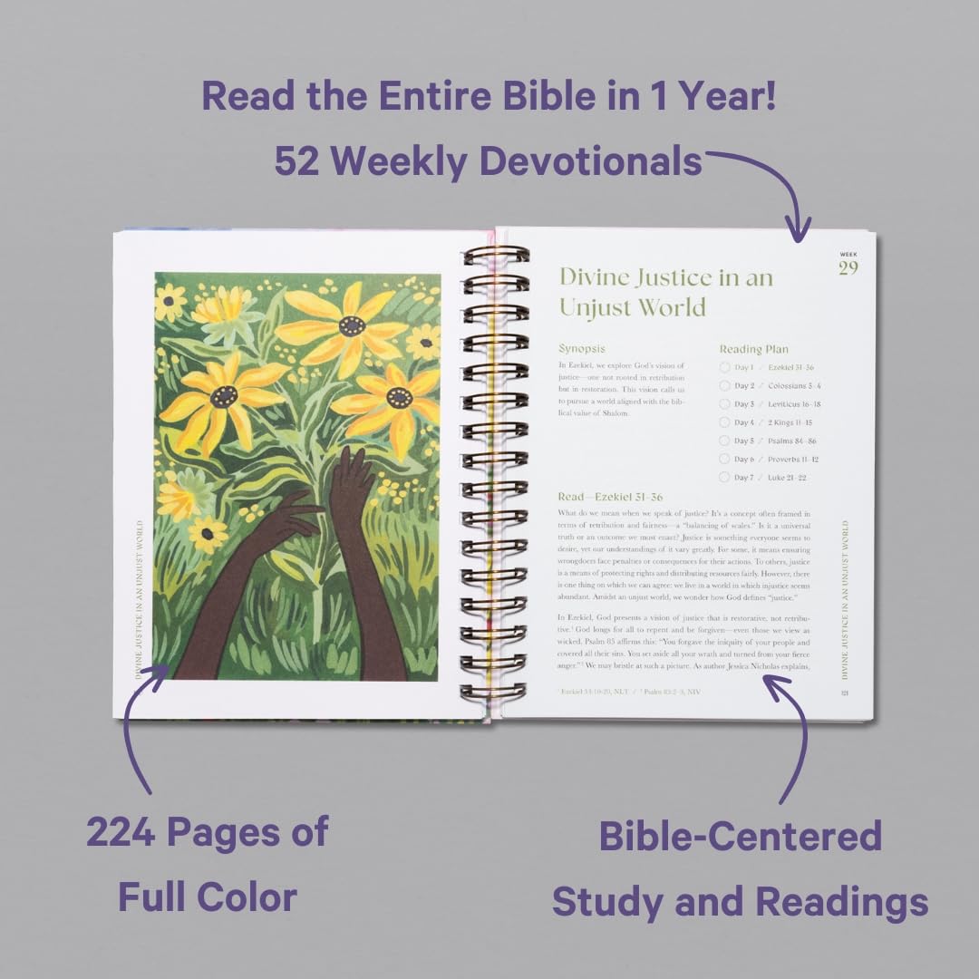 A Beautiful Year in the Bible Study (Cyber Monday)