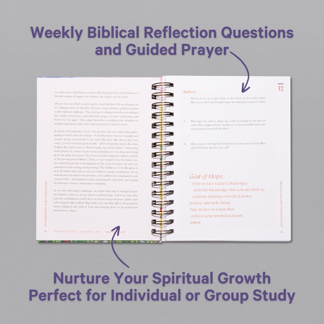 A Beautiful Year in the Bible Study (Cyber Monday)