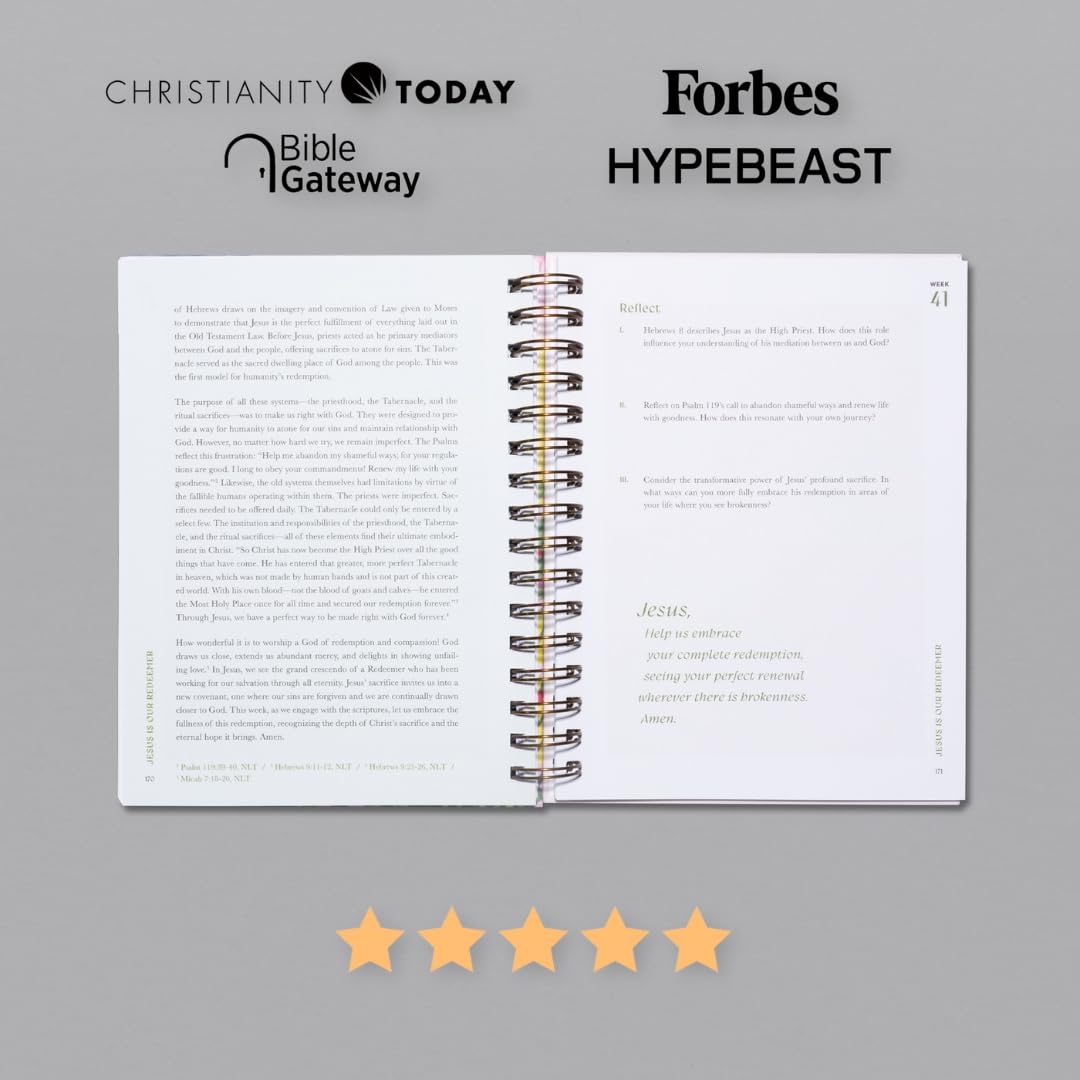 A Beautiful Year in the Bible Study (Cyber Monday)