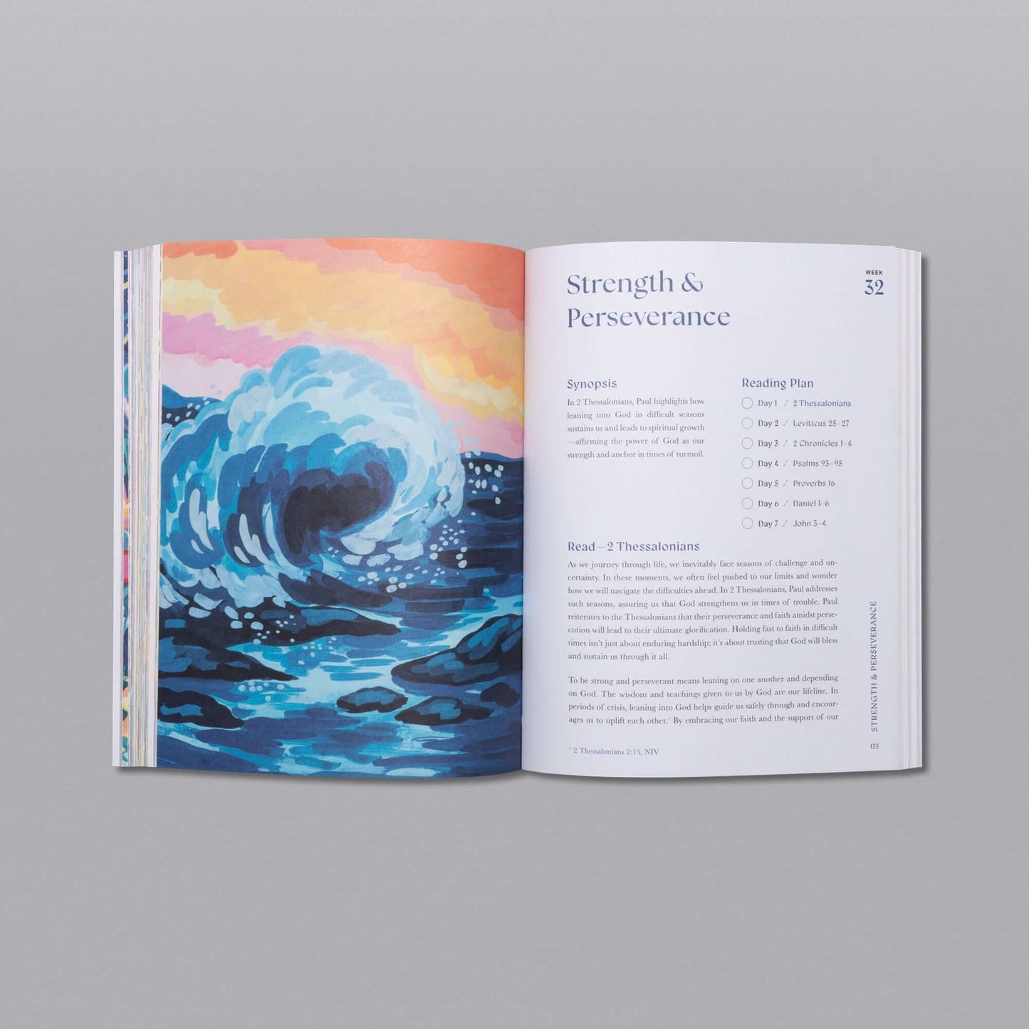 ...A Beautiful Year in the Bible Study